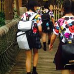 12750059_561109647397624_1494065548_a