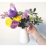 12599353_966924196711788_1639752181_a