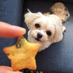 12751565_153632288357624_1033028019_a