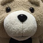 12558540_1667177806879915_1187288034_a