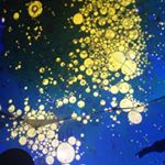 12749811_1685874098357149_573479378_a