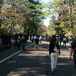 11252422_1413306135662961_293924840_a