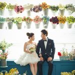 11939333_445466728970006_1272339907_a