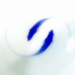 12338490_1534606463523274_598516818_a