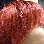 11887159_862520773822173_1447409124_a