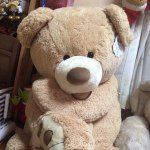 10617013_325001051009897_1195636887_a