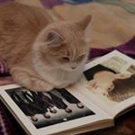 12353191_1535848863401793_787024861_a