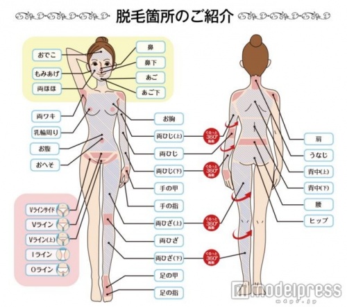 KIREIMO（キレイモ）なら顔脱毛が全身脱毛33箇所と一緒に行える