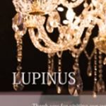 12918057_217377308649876_524346830_a