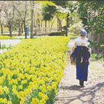 12960201_1592177591092889_763510543_a