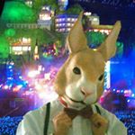 12357927_515730021937860_575525332_a