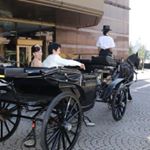 12141815_614959351988464_1254395039_a