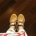 11380288_732127470247197_824338556_a