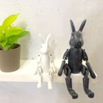 11236063_395525993980168_1266842640_a