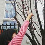 10958528_470615606482727_1409151598_a