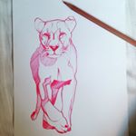 12965673_1710766299189139_1413311682_a