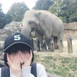 12940862_459135914277713_735599593_a