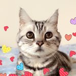 12826128_218546705166811_1007635194_a