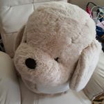 11821702_170143656657316_1775372117_a