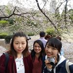 12446357_1557049021259080_1415096614_a