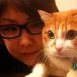 11909421_878008808954890_875983194_a