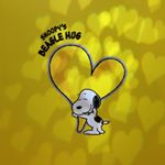 11821868_487335144756459_2059403752_a