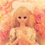 11887185_674323372668803_987899313_a