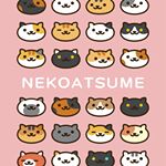 12930715_222170158140352_302454451_a