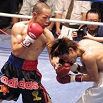 11244957_419991141528771_816263662_a