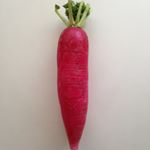 11930917_1028186813904009_1710832041_a