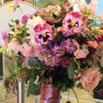 11326971_1984628605095882_597050897_a