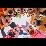 12965929_1699419340307314_1906511888_a