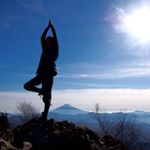 12917884_1582814272010493_1192888222_a