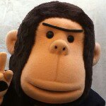 11357694_1643240415954691_124414454_a