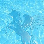 11925768_637728439703099_117374626_a