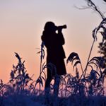 12797794_1026687927414277_1202205697_a