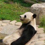 10785047_721877404563302_1204280322_a