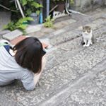 12093688_1011462475563676_355306726_a