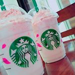 12825830_767162963383804_154961092_a