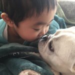 11007806_633976336738987_1038182419_a