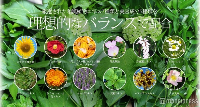 潤い肌に必要な成分がたっぷり含まれている