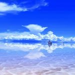 12558506_798985833547162_1413690762_a