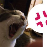 11055907_783935355033378_873304341_a