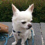 10471950_696300483786635_50403872_a