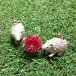 12976146_1703968063201022_662348379_a