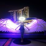 12519517_1681824858701859_357897955_a