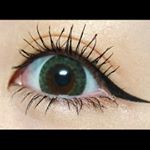 12940202_1561502097476560_11567086_a