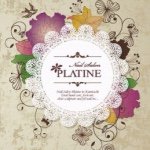 11333514_1024915660859435_276332790_a