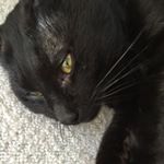 12960130_1112107512143788_1541981790_a