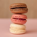 12628013_576006909224285_309557424_a